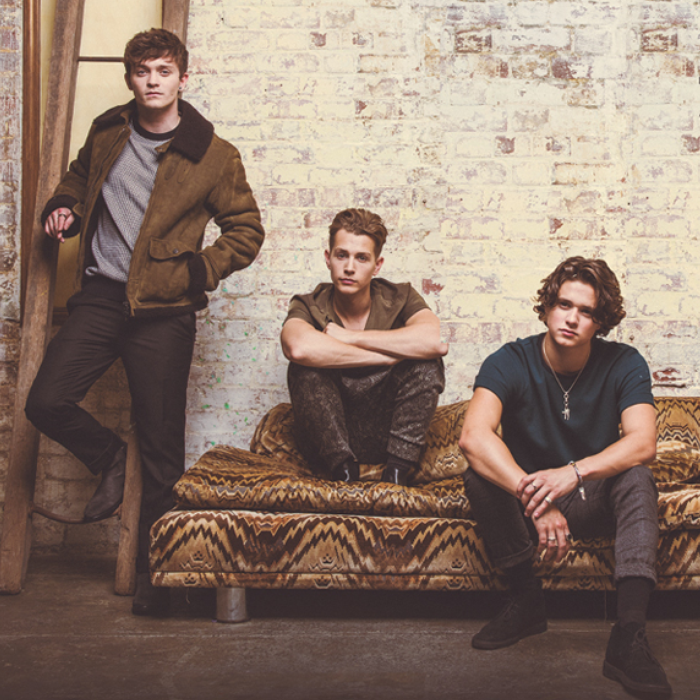 the vamps india tour