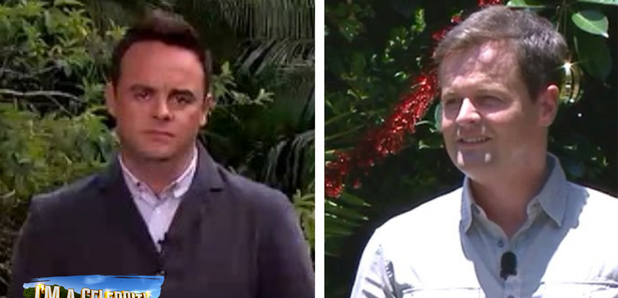 I'm A Celebrity Ant & Dec Split