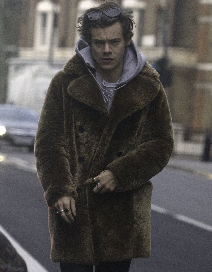Harry Styles Coat 