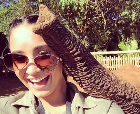 Demi Lovato has fun with an elephant