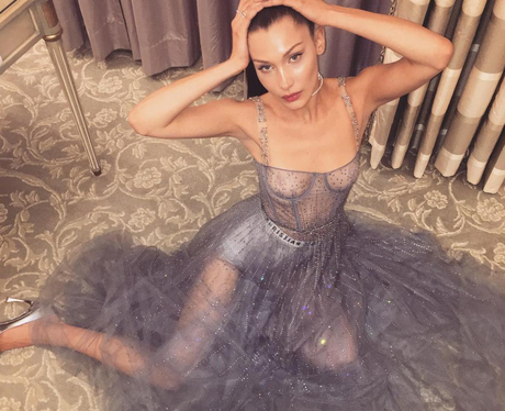 Bella Hadid in see through Dior dress