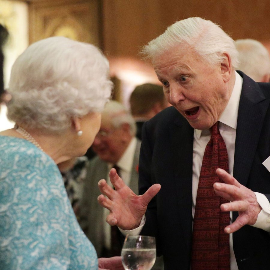 David Attenborough The Queen Hosts A Reception To Showcase The Queen's Commonwealth Canopy