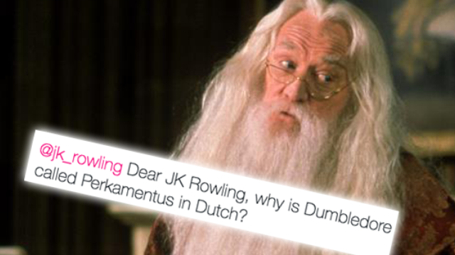Albus Perkamentus We Had No Idea Harry Potter Characters Have Different Names In Capital
