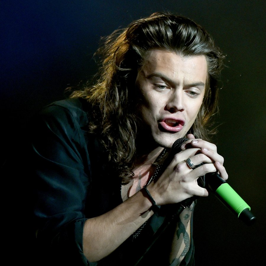 The CEO Of Harry Styles' Record Label's Given So Many Details About His ...