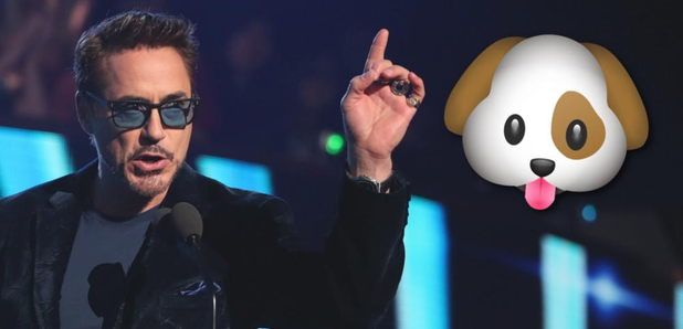 Nobody Knows What The Hell Robert Downey Jr's Dog Is Doing In This Photo - Capital