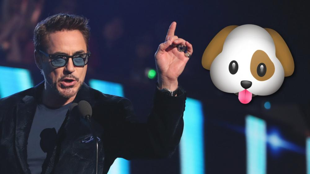 Robert Downey Jr.'s Dog Asset