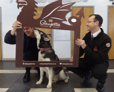 Glengettie Tea Tour