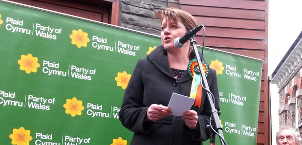 Plaid Cymru leader Leanne Wood