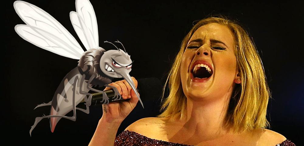 Adele Attacked By Mosquito Asset