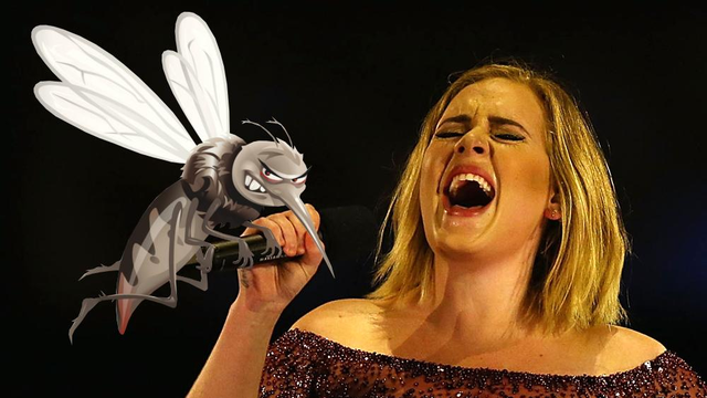 Adele Attacked By Mosquito Asset