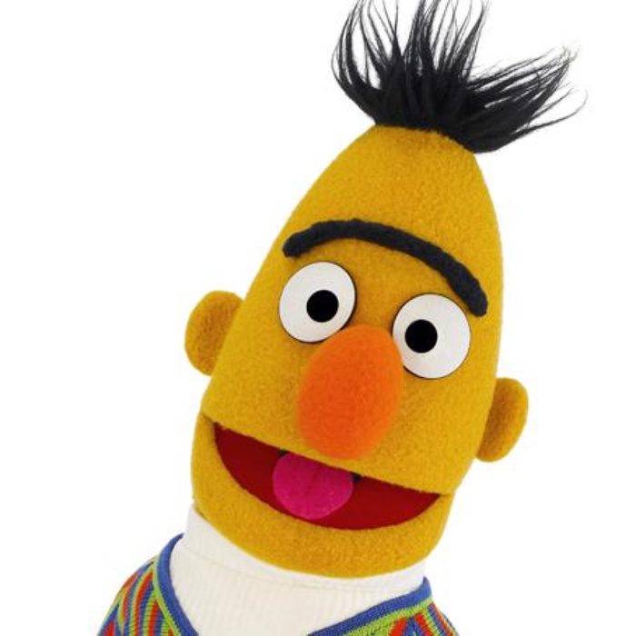 sesame street bert puppet