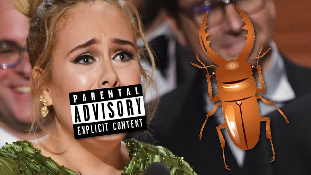 Adele Swearing At Beetle Asset