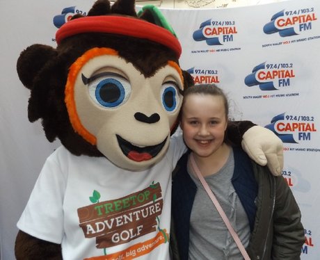 Treetops Adventure Golf @ St. Davids