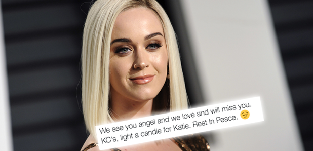 Katy Perry Fan Tweet