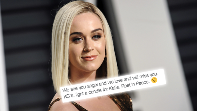 Katy Perry Fan Tweet