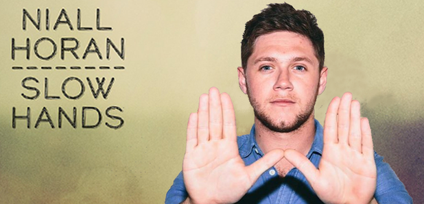 37 Gifs That Are Probably Slower Than Niall Horan S Slow Hands Capital