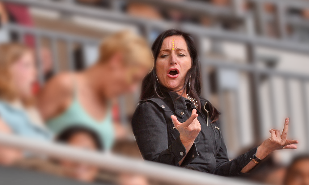 Capital Summertime Ball Crowd