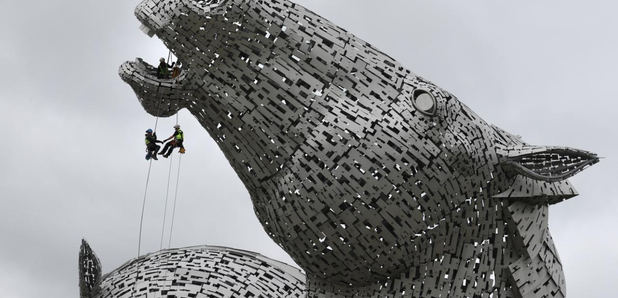 Kelpies health check