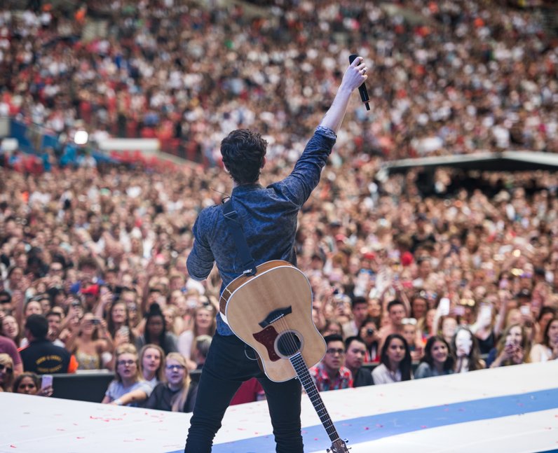 Shawn Mendes at the Summertime Ball 2017
