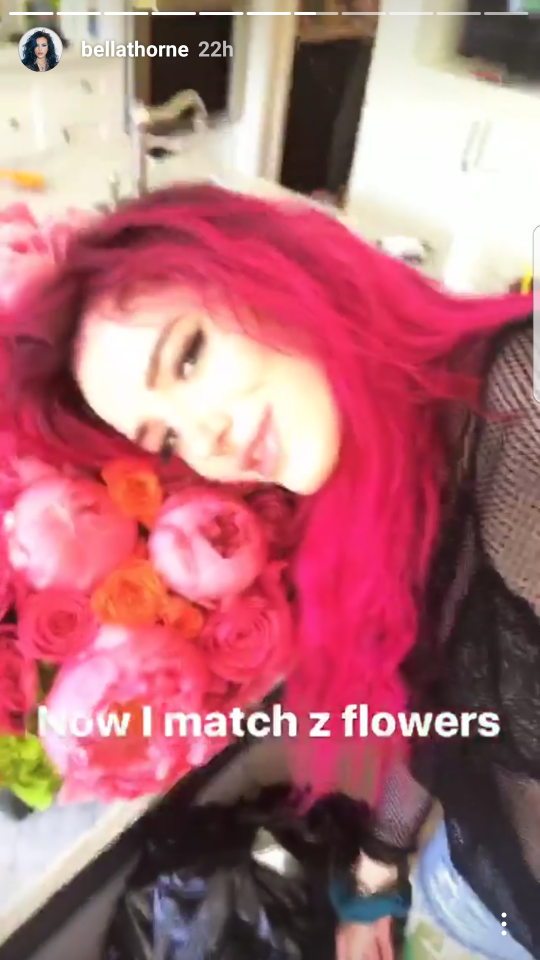 Bella Thorne Roses Instagram Story