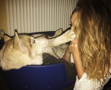 Perrie Edwards and her dog