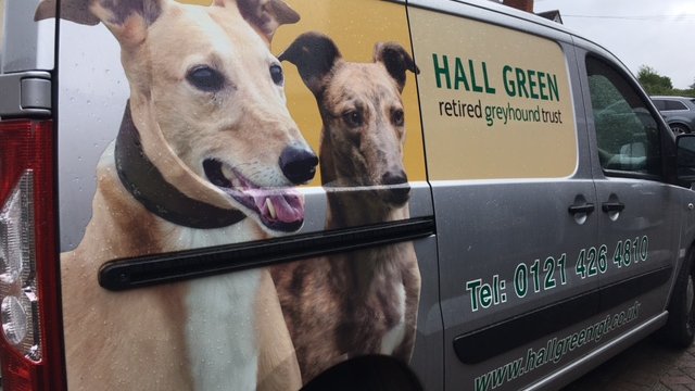 Retired Greyhound Trust Hall Green