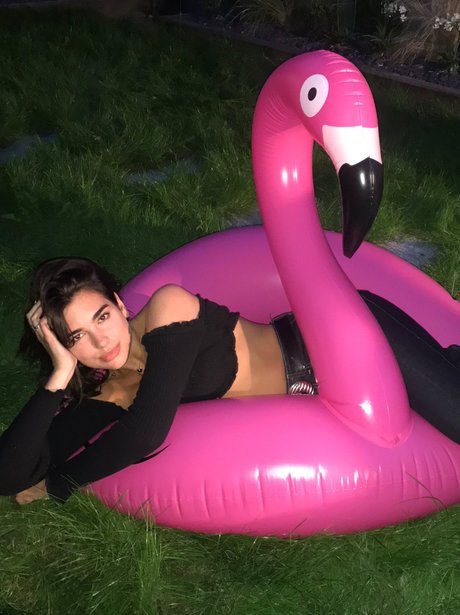 Dua Lipa celebrates New Rules reaching 80 million