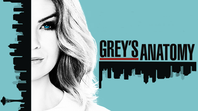 Grey's Anatomy Season 14: What We Know So Far Incl. Release Date, Cast