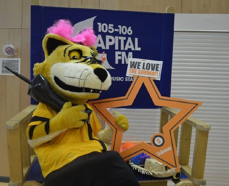 Were you pap'd by the Capital Street Stars?