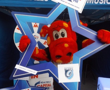 Cardiff Blues V Newport Gwent Dragons