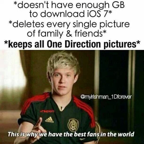 One Direction Memes