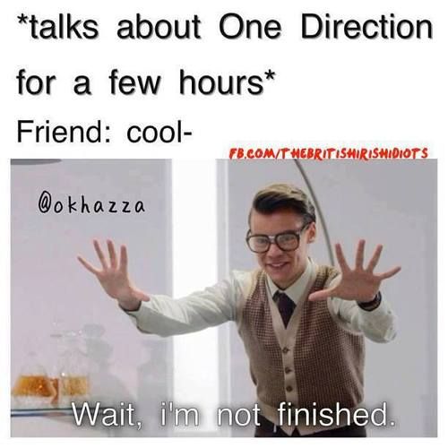 16 Memes Only A True Directioner Would Understand - Capital