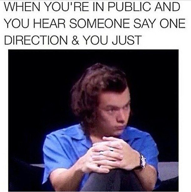 16 Memes Only A True Directioner Would Understand - Capital