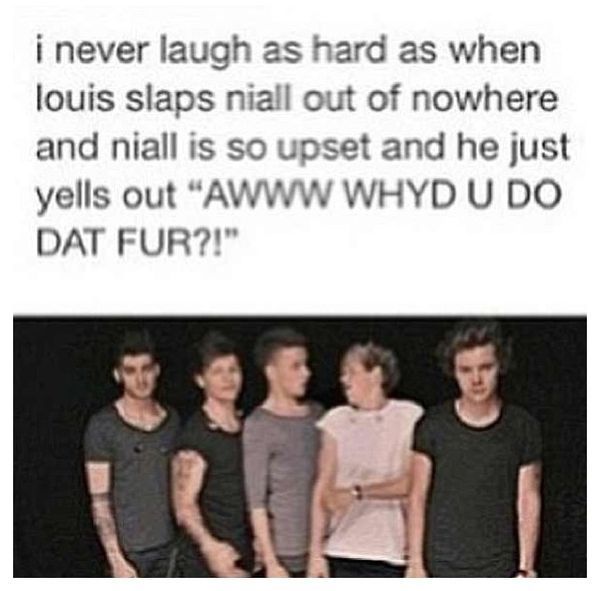 One Direction Memes