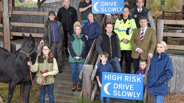 New Forest speed warning signs