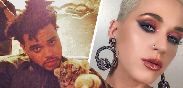 Katy Perry & The Weeknd