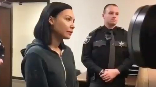 Naya Rivera Arrested After Striking Husband