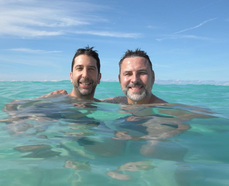 David Schwimmer and David Walliams