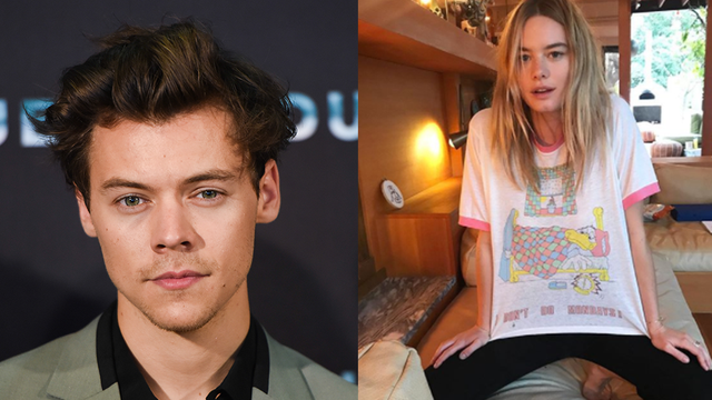 Harry Styles and Camille Rowe