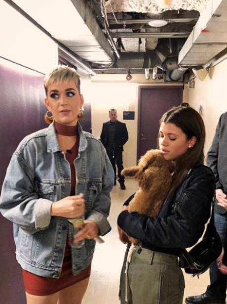 Sofia Richie loving Katy Perry's dog Nugget