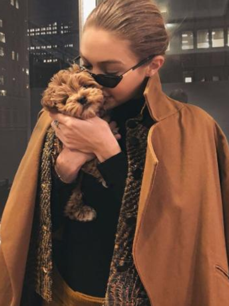 Gigi Hadid