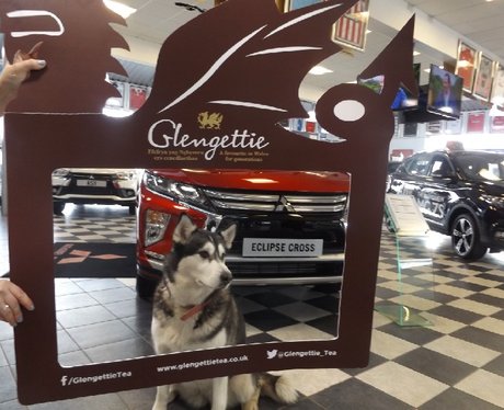 Glengettie Tea Tour 2018