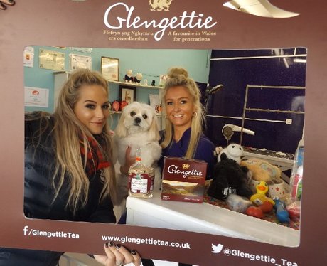 Glengettie Tea Tour 2018