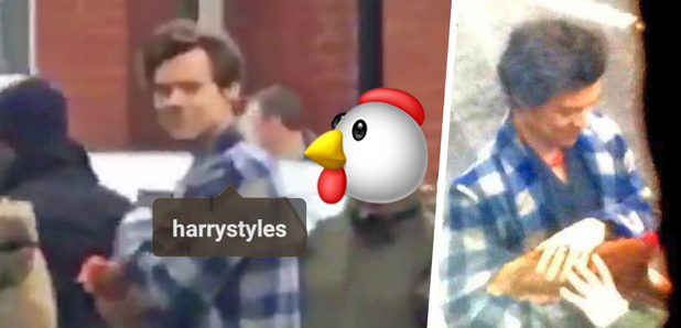 Harry Styles & A Chicken