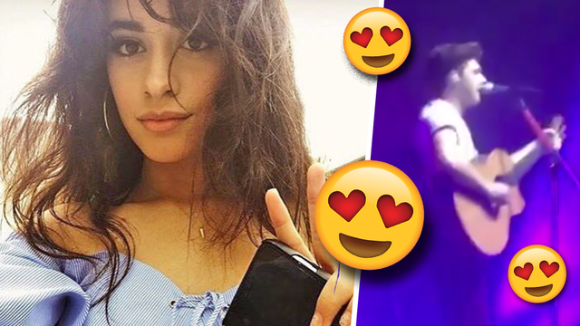 Camila Cabello Shared Her Thoughts On Niall Horan’s Cover & We Couldn't ...