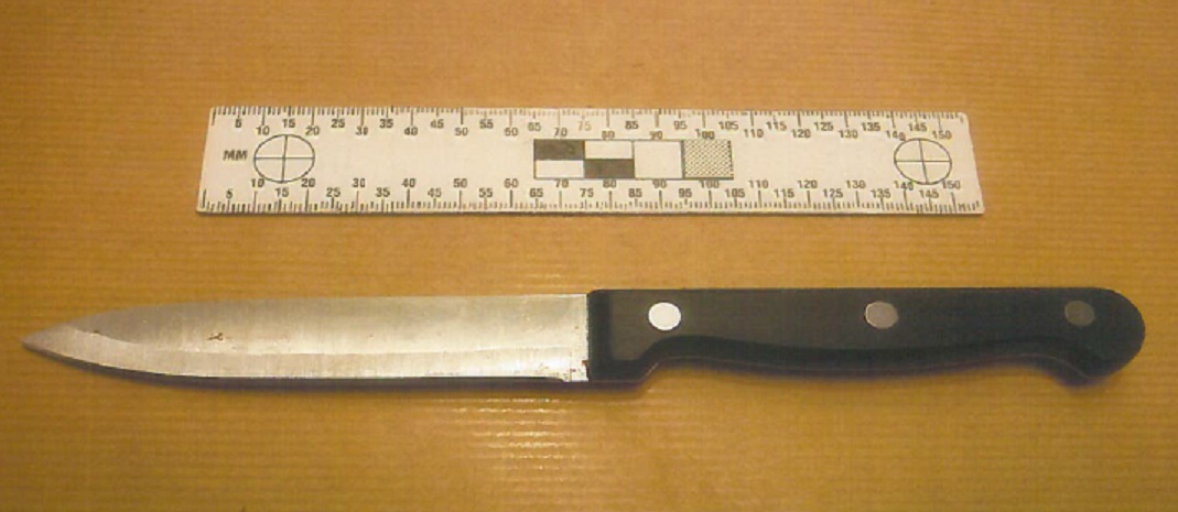 Dominic Palmer, Knife, stabbing, 