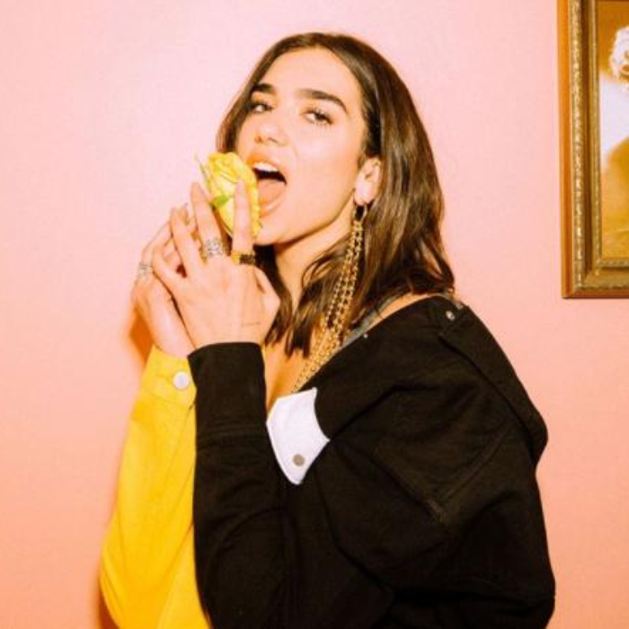 Wer ist Dua Lipa? Richtiger Name, Höhe, Reinvermögen & Freund Guides