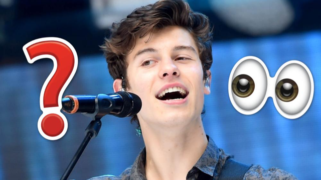 Shawn Mendes Collaboration Rumours
