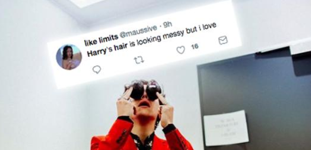 Harry Styles Hair