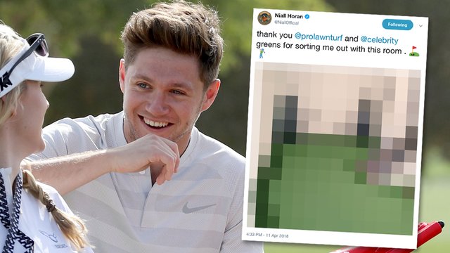Niall Installs A Golf Course Inside His House
